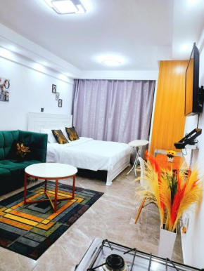 Ayli Studio Apartment in Kilimani